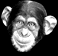 monkey14.gif (9225 bytes)